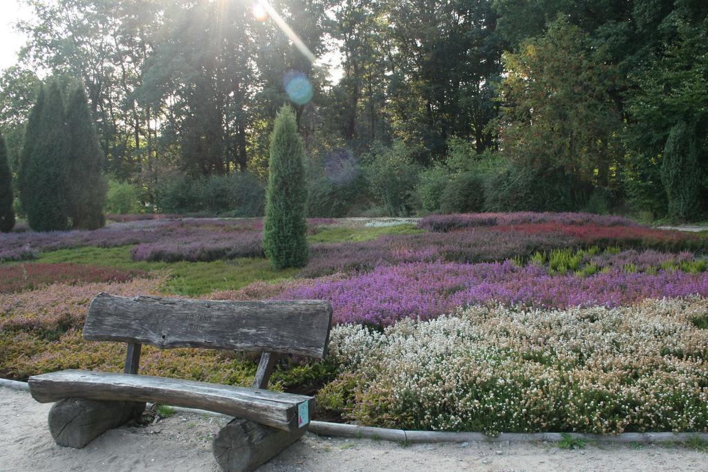 Ferienwohnung Lueneburger Heide Schneverdingen Eksteriør billede